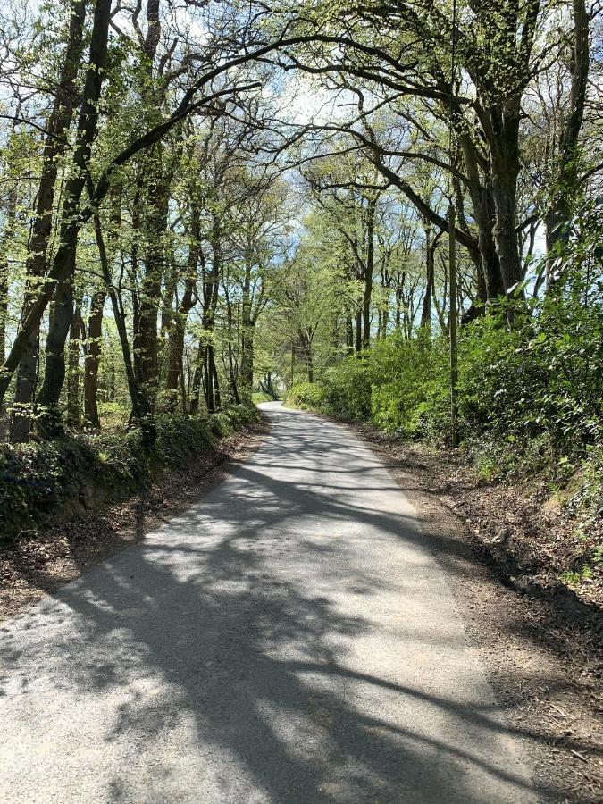Molesworth Accommodation, Pyworthy, Devon Holsworthy Εξωτερικό φωτογραφία